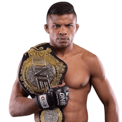 Bibiano Fernandes