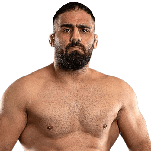 Mehdi Barghi