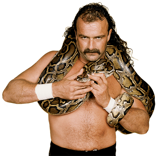 Jake Roberts