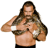 Jake Roberts