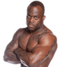 Melvin Manhoef