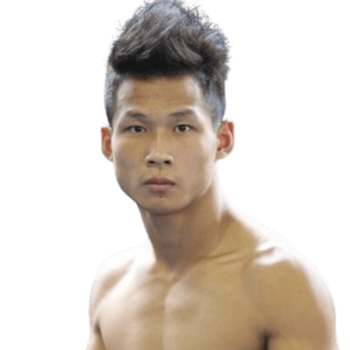 Yafei Zhao